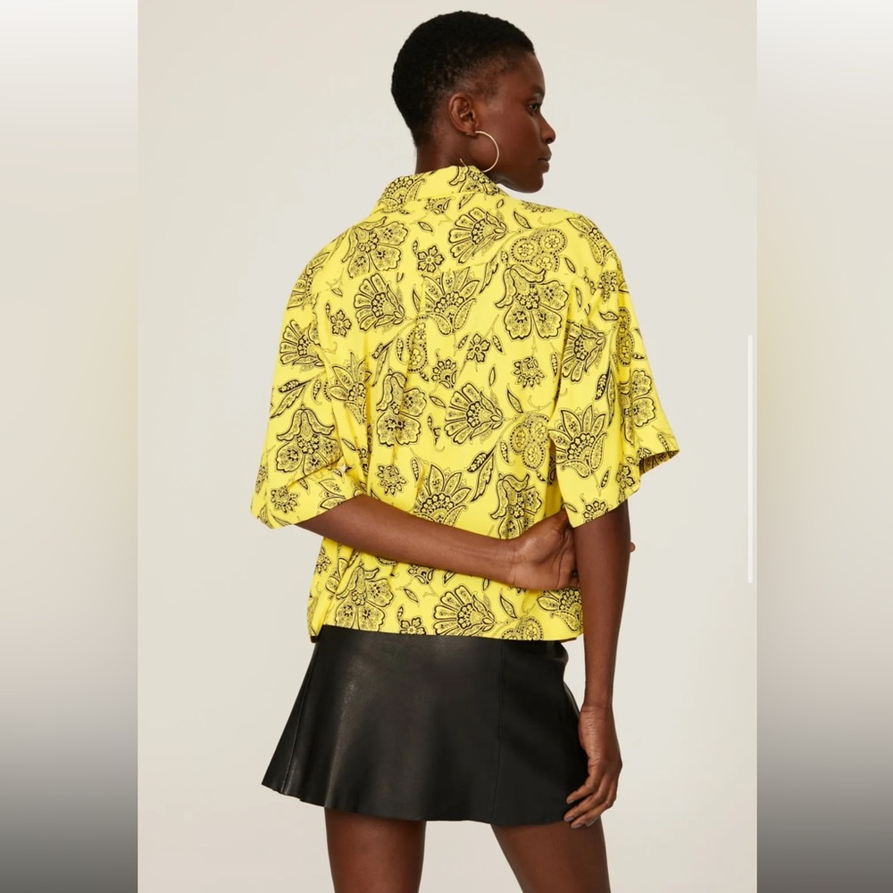 Rox Top Saunders x RTR - Picture 3 of 9